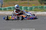 DSC_6892 copie